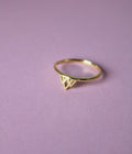 Gold Ring - Collar Cuffs Courage Symbol